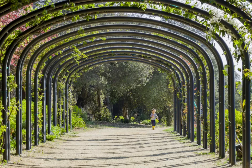 A little girl running in the beautiful Descanso Garden in Los Angeles, California.